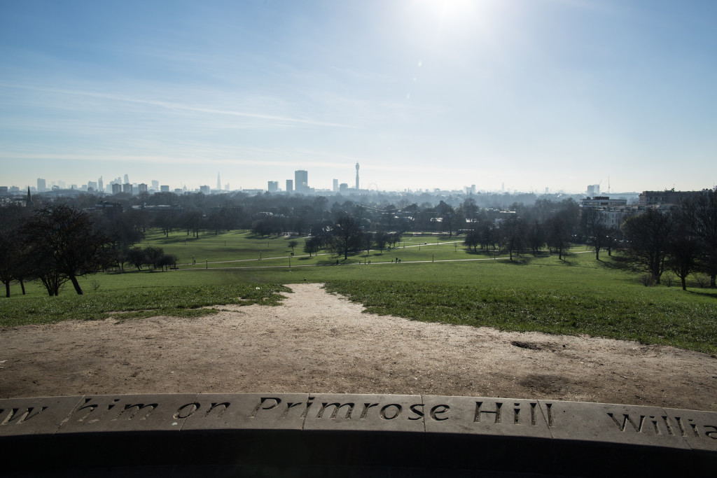 View from Primrose Hill