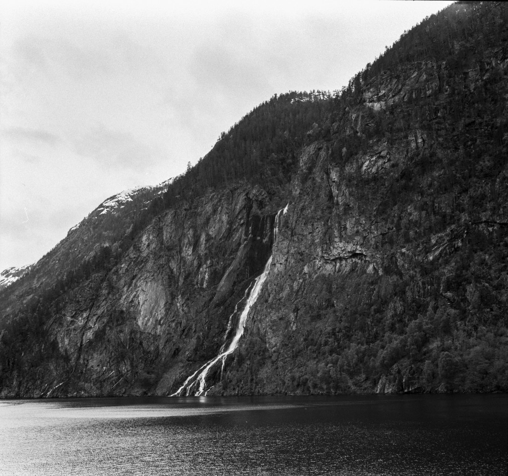 Exploring Naeroyfjord on the Fjord Safari