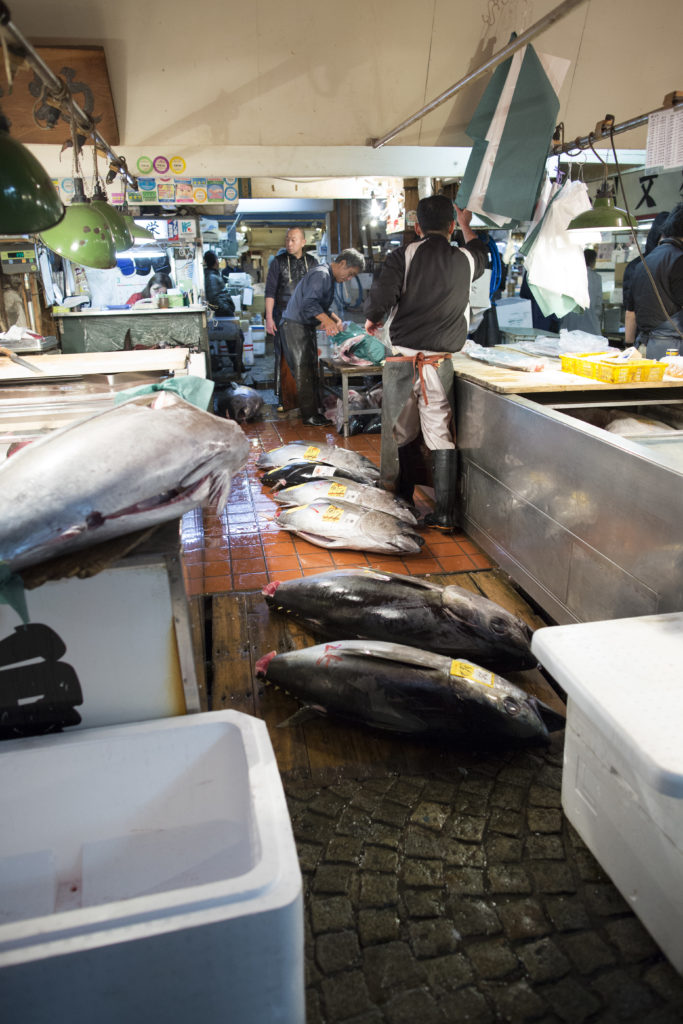 Giant tunas await their butchering